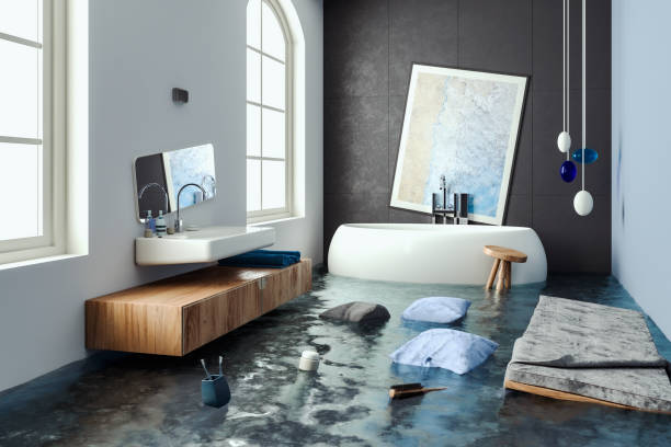 Best Water damage restoration near me  in Lockwood, MO
