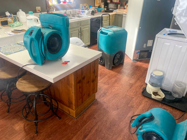 Best Water damage restoration near me  in Lockwood, MO