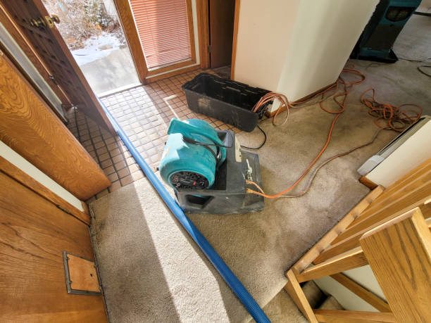 Best Local water damage restoration  in Lockwood, MO