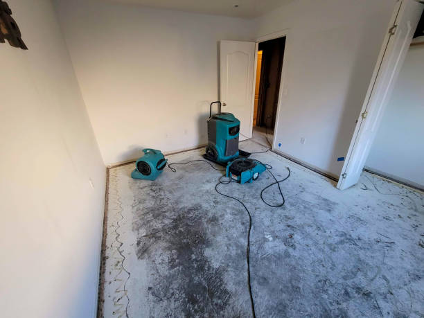 Best Basement water damage restoration  in Lockwood, MO