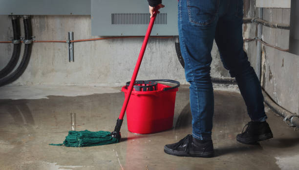 Best Flood restoration services  in Lockwood, MO