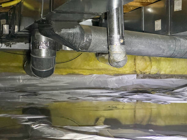 Best 24-hour water damage restoration  in Lockwood, MO