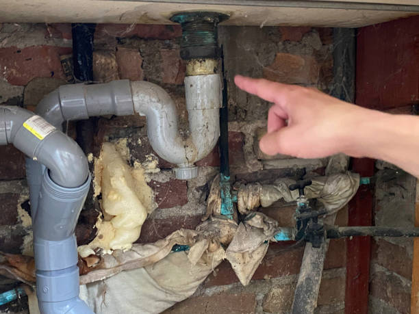 Best Professional water damage repair  in Lockwood, MO