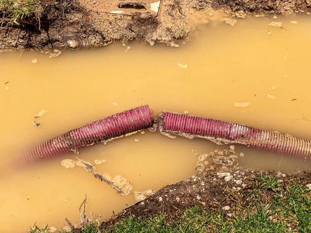 Best Flood damage cleanup  in Lockwood, MO