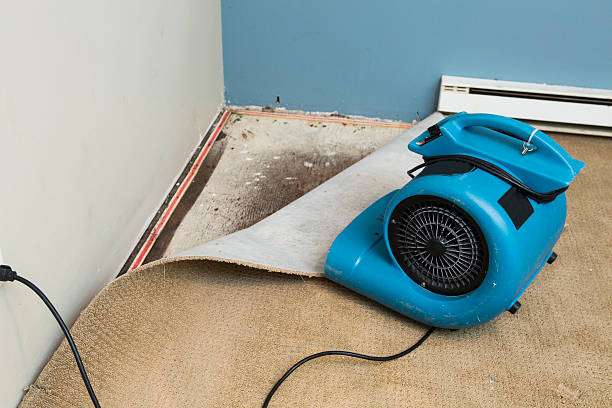 Best Flood restoration services  in Lockwood, MO